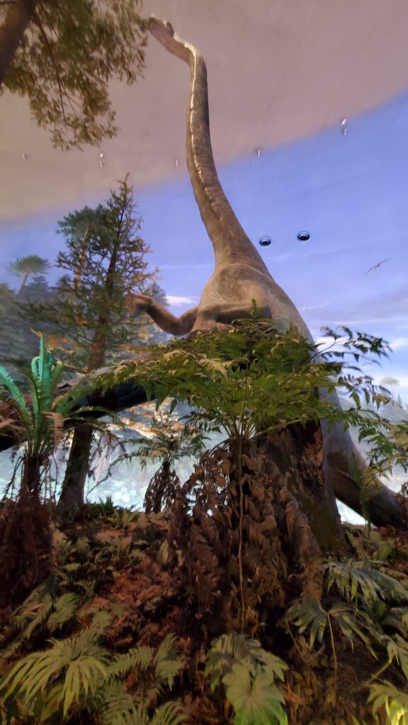 20240609 113022 576x1024