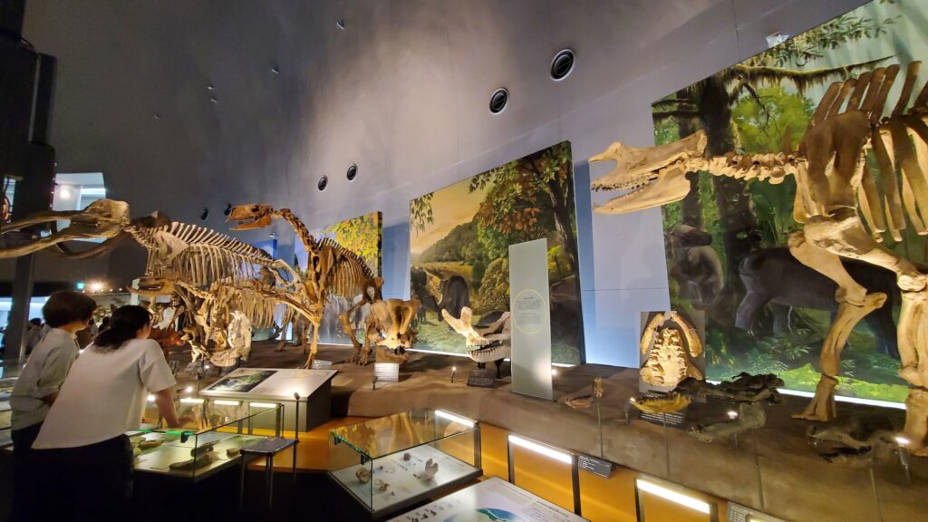 20240609 115800 1024x576