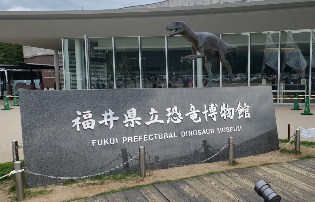 20240609 142411 1024x658