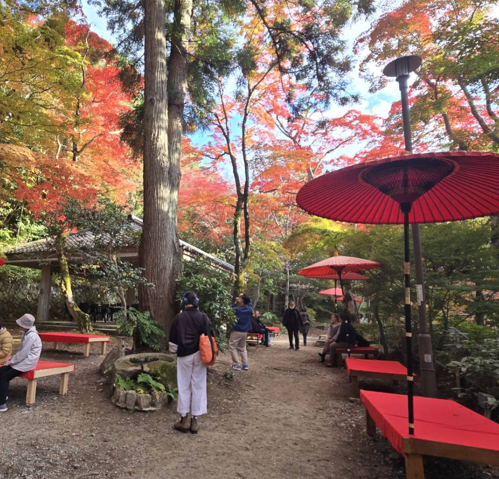 Service-1-min (1) 25073 0