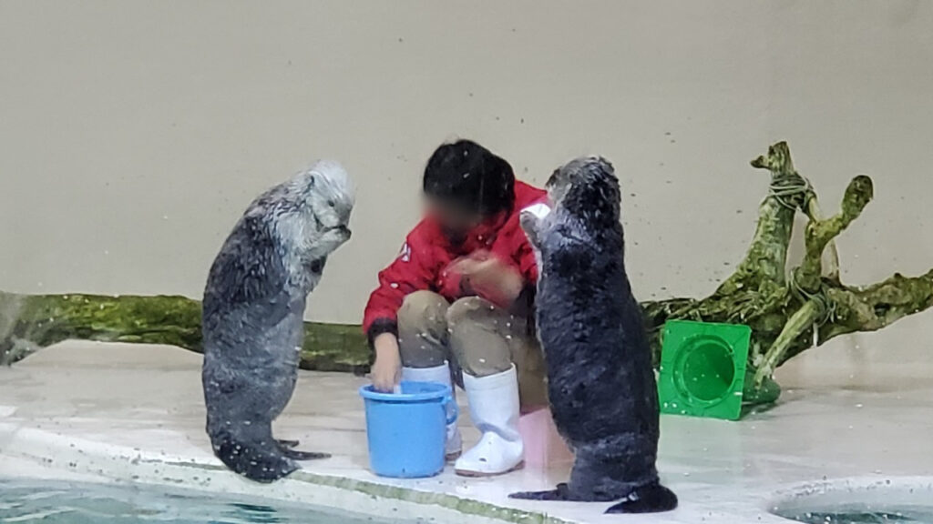 Ise-Shima 2-Day Itinerary: Why 1 Night is Never LINE ALBUM 20240713〜14 260204 19 1024x576