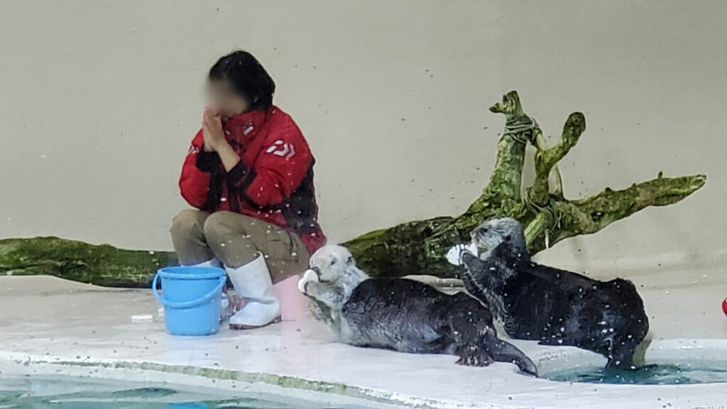 Ise-Shima 2-Day Itinerary: Why 1 Night is Never LINE ALBUM 20240713〜14 260204 20 1024x576