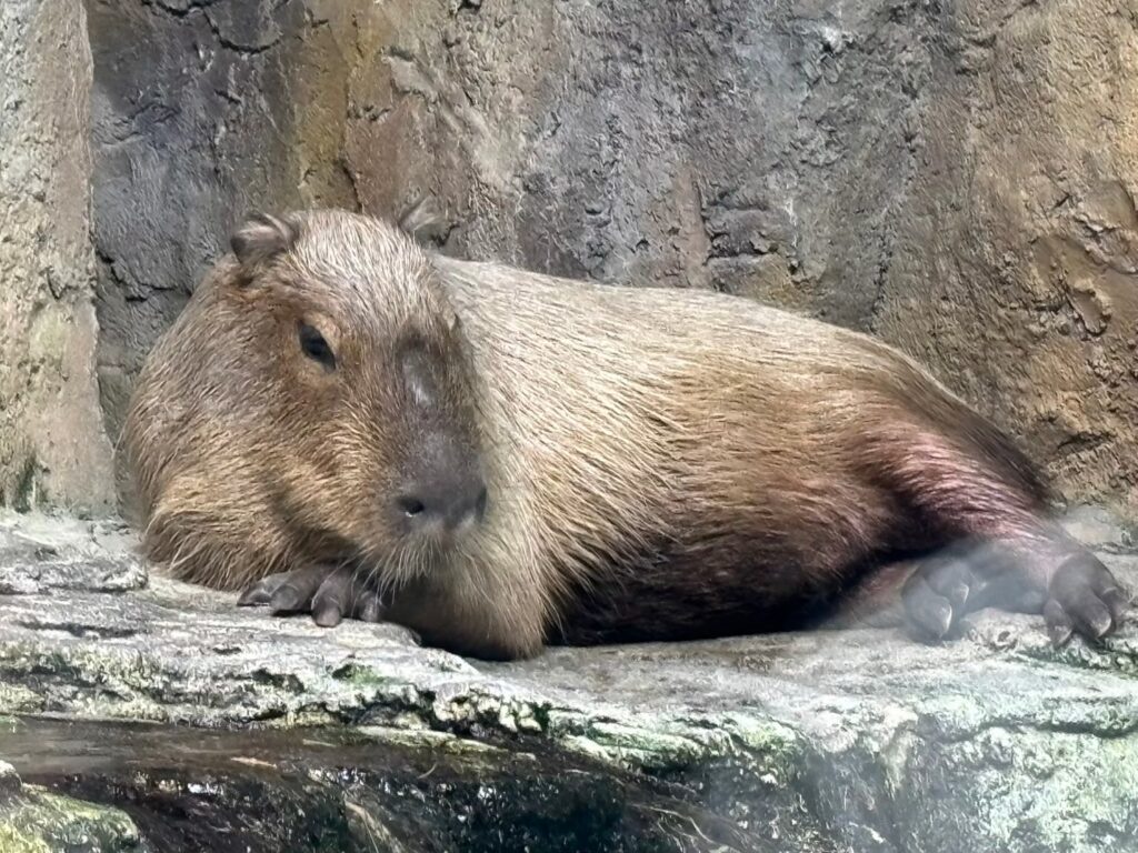 Ise-Shima 2-Day Itinerary: Why 1 Night is Never LINE ALBUM 20240713〜14 260204 26 1024x768