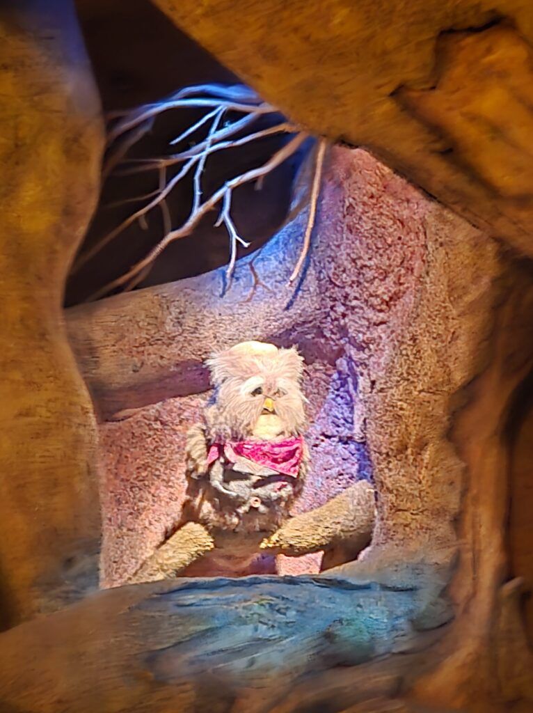 Adulting at Tokyo DisneyLand: My 15-Year Comeback Guide 20250209 102601 766x1024