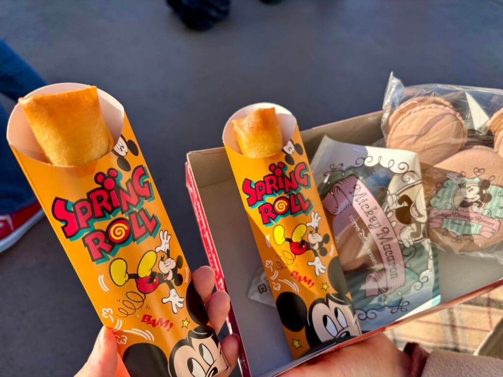 Adulting at Tokyo DisneyLand: My 15-Year Comeback Guide 260306 11 1024x768
